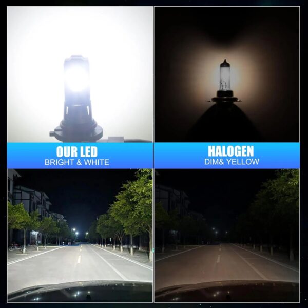 H27 LED Globes - Image 4